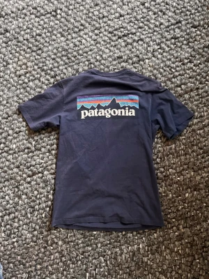 Patagonia t-shirt - En fet t shirt från patagonia i storlek S. Loggan är vintage och materialet är högkvalitet. Tröjan har inga som helst defekter 