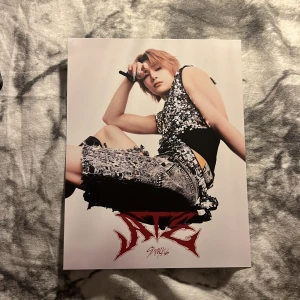 Official I.N postcard/miniposter - Official Skz merch! From the ate envelope, was on my wall for 2 weeks then stored. Need money for collage school. (Freebies included!)