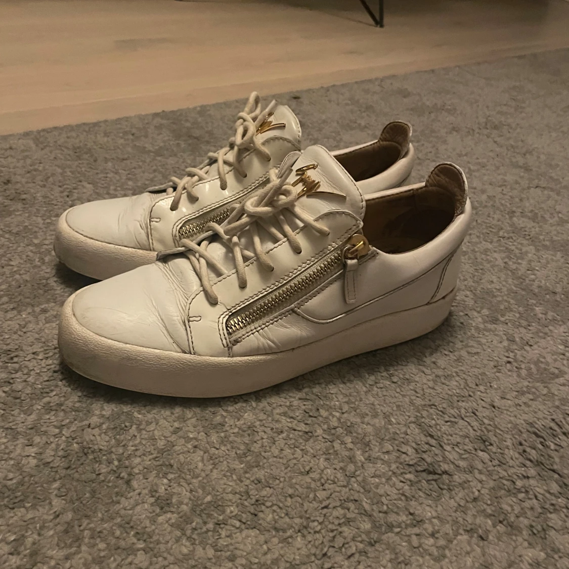 Giuseppe Zanotti - 1