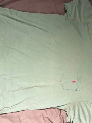 Mintgrön t-shirt från Polo Ralph Lauren - Snygg mintgrön t-shirt från Polo Ralph Lauren med klassisk rund hals och korta ärmar. På bröstet finns en ficka med den ikoniska rosa Polo-loggan broderad. Mjuk och skön bomull som passar perfekt till jeans eller shorts.