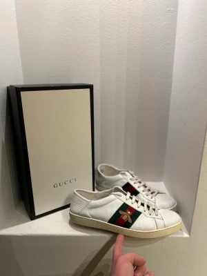 Gucci ace - Gucci ace bee i använt, men fint skick. Allt OG ingår! Hör av dig vid frågor eller funderingar! Priset kan diskuteras vid snabb affär!