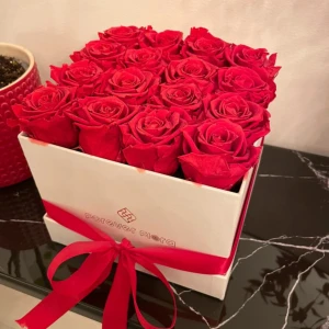 Evighetsrosor  - 16 evighetsrosor i box