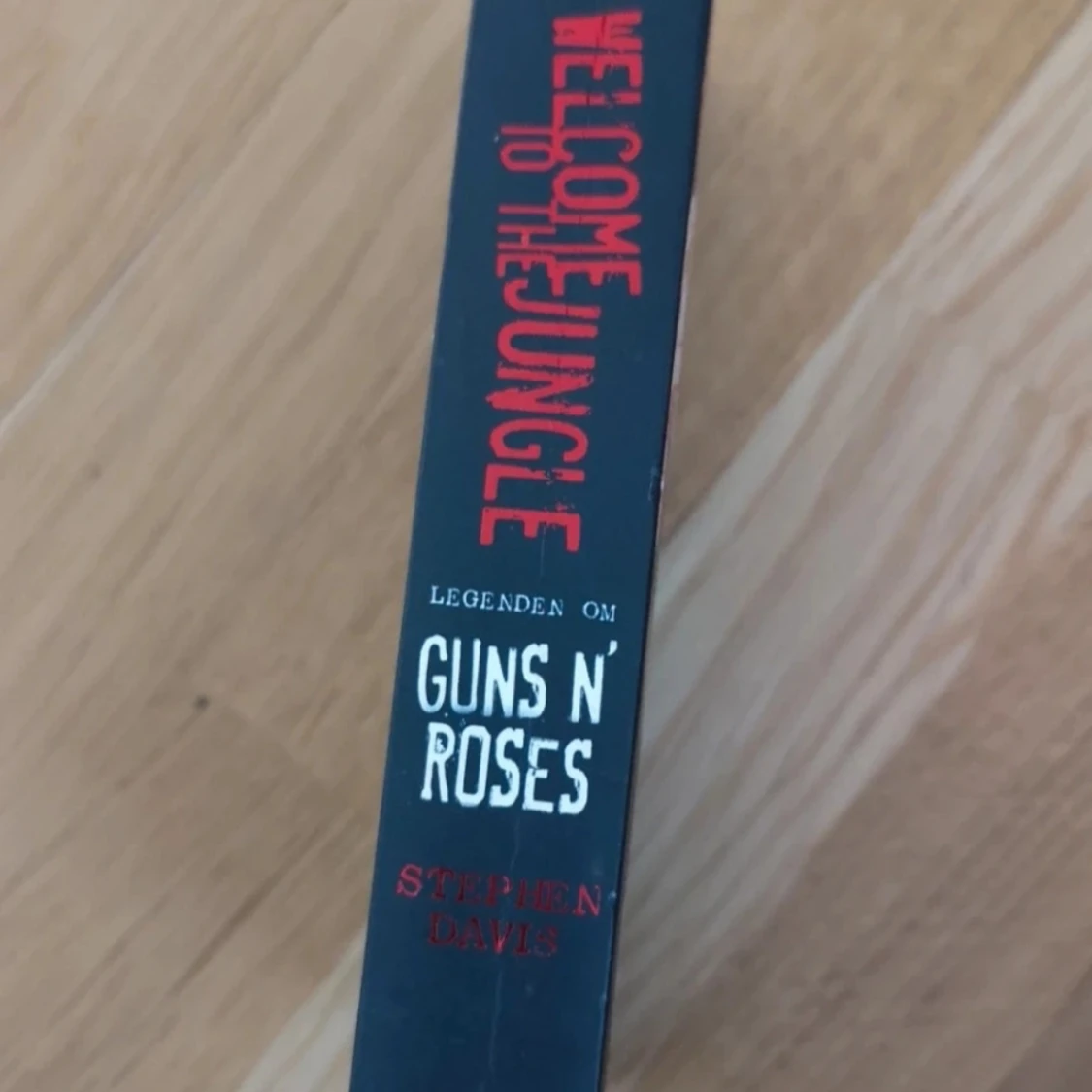 Welcome to the Jungle: legenden om Guns N' Roses - 2