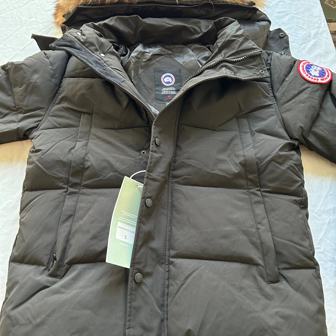 Svart   Canada Goose 