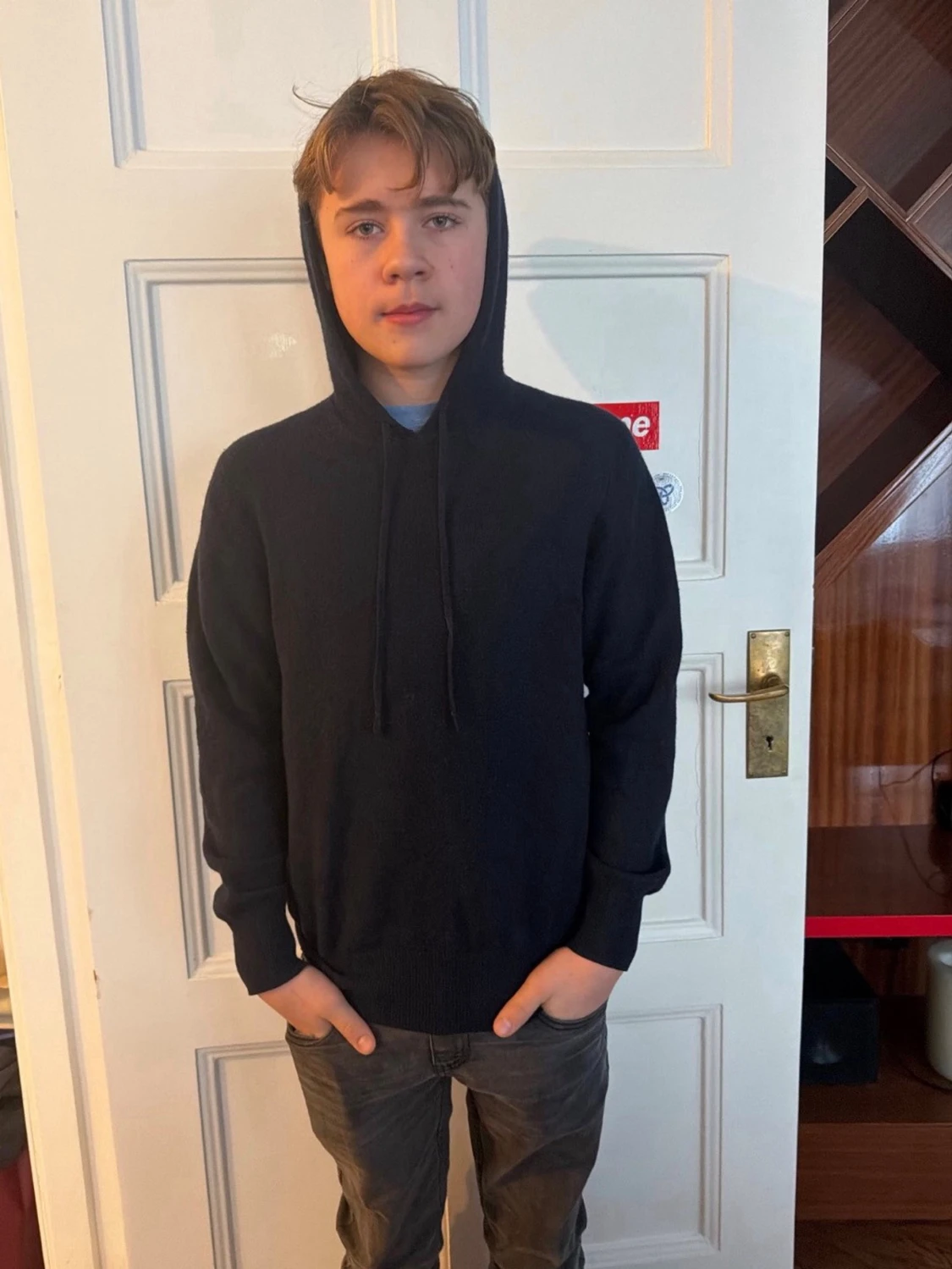 Soft goat hoodie kashmir 