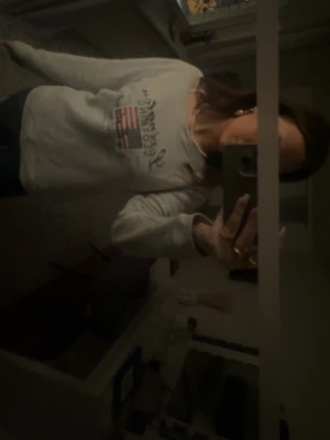 Grå sweatshirt från Lexington - Säljer en grå sweatshirt från Lexington med amerikansk flagga och tryck framtill. Använd två gånger så den ser ny ut. Den är i M men är som en S