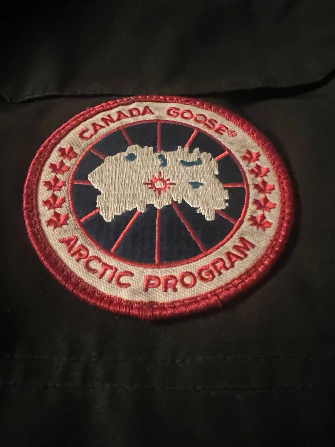 Svart Canada Goose Expedition dunjacka - 6