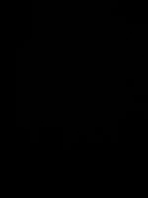 Sulor och dustbag - Sulor dustbag goldengoose