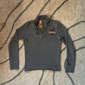 Grå långärmad tröja Hollister - Grå långärmad tröja från Hollister med broderad logga och text på bröstet samt stor broderad surfklubb-text på ryggen. Tröjan har hög krage med knappar och är gjord i mjuk bomull. Perfekt för dig som gillar avslappnad och cool stil.
