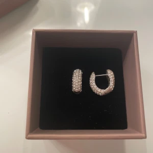 Glittriga pilgrims silverörhängen  - Säljer ett par chunky örhängen i silverfärg med massor av glittrande stenar. De är halvcirkelformade och har en lyxig vibe, perfekta för att lyfta din look. Snygga att matcha med andra smycken!
