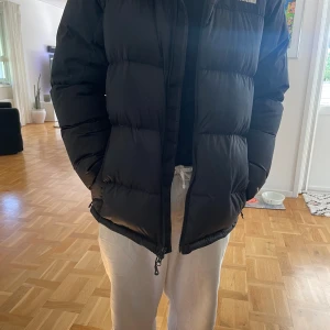 Svart dunjacka från The North Face M - Säljer en svart dunjacka från The North Face i storlek M. Jackan är riktigt puffig och har en klassisk look med diskret logga på bröstet och ryggen. Perfekt för kalla dagar och har dragkedja framtill. Snygg och enkel att matcha med allt.