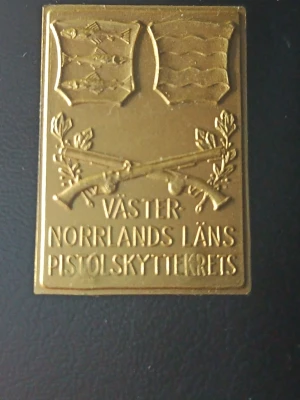Guldfärgad medalj Västernorrland 1961 1:a pris pistolskytte  - Unik rektangulär medalj i guldfärgad metall från Väster Norrlands läns pistolskyttekrets, Kretscupen 1:a pris lag 1961. Medaljen har ingraverade vapen, text och två pistoler i kors samt stämplar på baksidan. Perfekt för samlare av sport- eller militärrelaterade smycken. Har guldtestat denna och även fast den är stämplad som 14karat så ger den inte utslag på syratest.