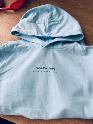 Calvin Klein Jeans Hoodie - Hoodie från Calvin Klein Jeans knappt använd och i princip ny.