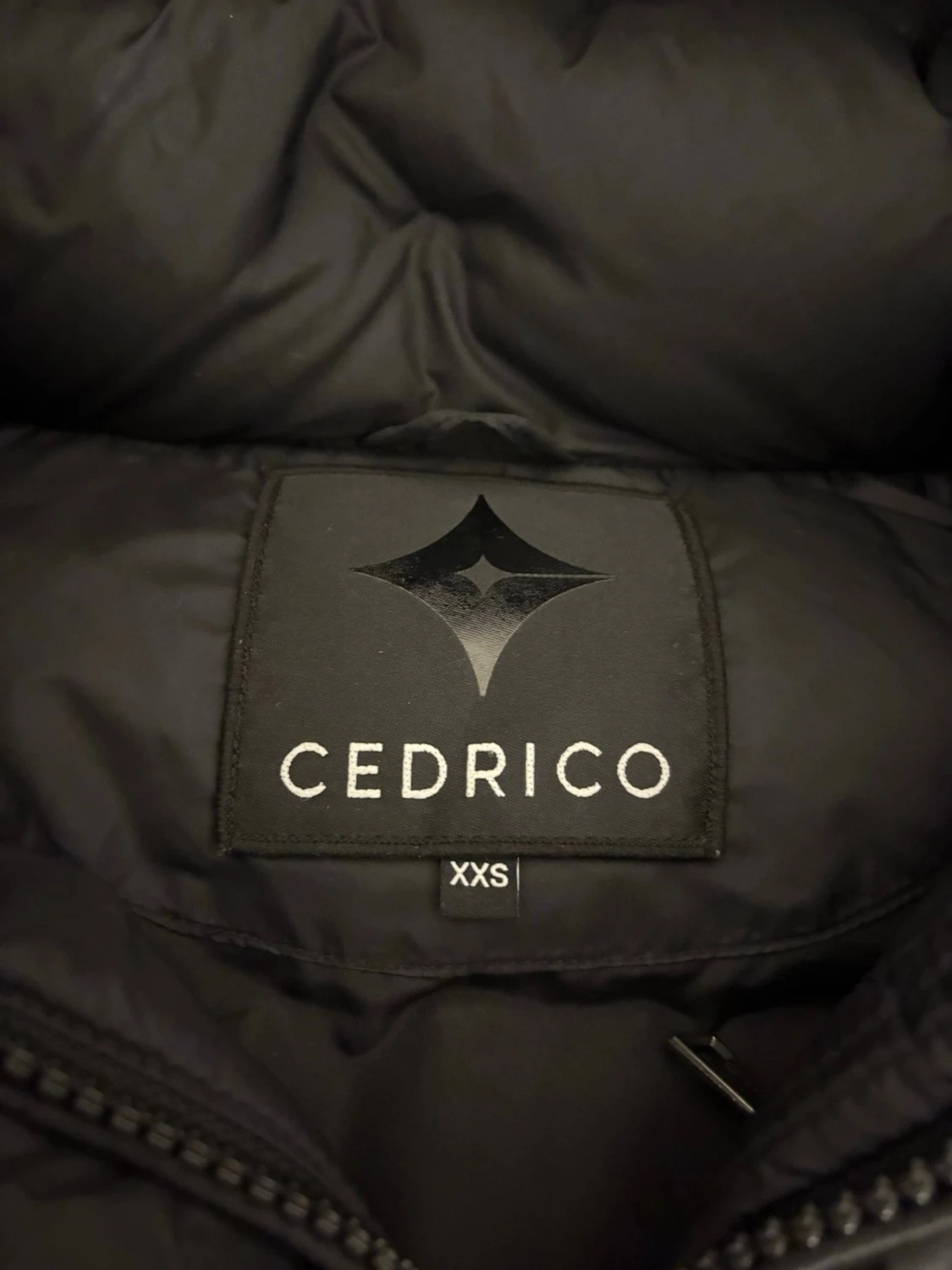 cedrico jacka - 2