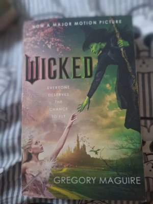 Wicked av Gregory Maguire - Säljer boken wicked. Aldrig använd bara stått i ett vitrinskåp. 