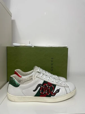 Gucci Ace Skor  - Säljer nu dessa snygga Gucci ace skor i uk 7,5 som motsvarar storlek 41,5, endast skorna ingår, skriv för fler bilder/frågor🙌🏼