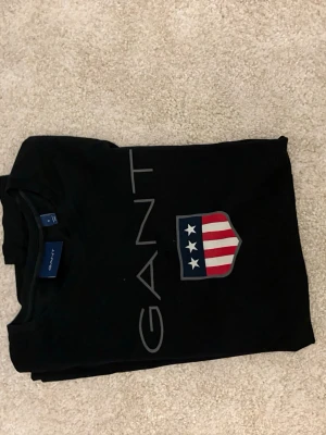 Svart GANT t-shirt med logga - Snygg svart t-shirt från GANT med stort tryck framtill. T-shirten har GANT-loggan i grått och ett sköldmärke med stjärnor och ränder i rött, vitt och blått. Klassisk passform och korta ärmar. Perfekt till jeans eller shorts.