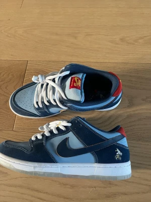 Nike SB Dunk Low blå och röd - Snygga Nike SB Dunk Low sneakers i blå mocka och ljusblå textil med vit sula och vita skosnören. Röd detalj vid hälen och broderad figur på sidan. Perfekta för dig som gillar streetwear och skate. I storlek 43 men passar 42 också.
