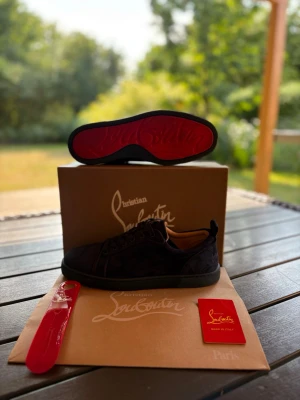 Christian Louboutin skor - Säljer ett par Christian Louboutin skor i sjukt bra skick! Använda enstaka gånger. Blåa, utan spikar, storlek 43.  Ställ gärna en fråga för mycket än en för lite:)