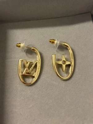 Örhängen  - Rostfria 14k guldpläterade örhängen med logga, helt nya 💛