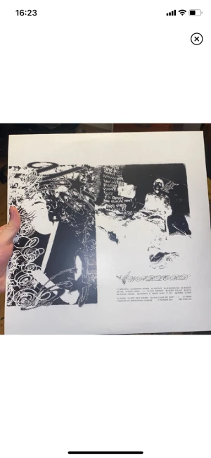 Yung lean warlord vinyl - Köpte den på cultix i Växjö vintern 2021, spelad 1 gång, ny skick