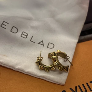 Edblad örhängen - Örhängen från Edblad 