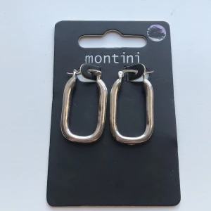 Montini örhängen - Jättefina örhängen från Montini💗Så gått som oanvända🫶🏻
