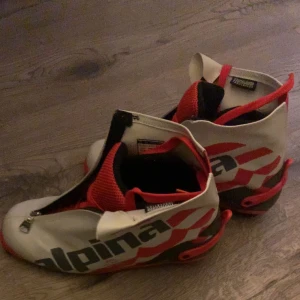 Längdskidspjäxor  - Näst intill oanvända, fina alpina RCL racing, soft boot flex, heel grip system. Nypris: 1600kr. Skulle säga att dom är lite mindre i storleken men det är dom flesta pjäxor. Är inne på plick varje dag så svarar snabbt!