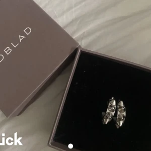 Edblad örhängen  - Jättefina Edblad örhängen, säljer för jag inte använder de