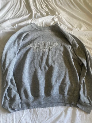 Oversized sweatshirt  - Någon fläck men går att få bort i tvätten, knappast använd.