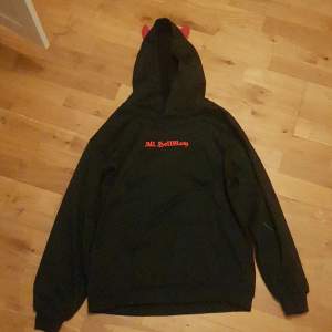 Säljer denna hoodie använd typ 2 gånger💕 Skriv gärna innan köp💕Frakten står köparen för💕Skriv privat om fler bilder eller frågor💕