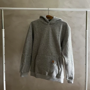 Carhartt hoodie - En äldre carhartt hoodie i storlek large.