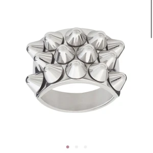 Silvrig Edblad ring  - Säljer denna silvriga Edblad ringen som jag köpte i höstas. Säljer för att den är för liten. Den är i storlek XS och är silvrig. Nypris är 400kr så därför säljer jag för 250kr inklusive frakt. 💖 (Tryck ej köp nu, skicka meddelande istället) 