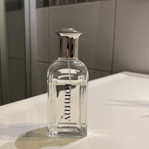 Tommy Hilfiger parfym - Perfekt för barn som nyss har börjat högstadiet och/eller som julklapp för äldre män som vill lukta något utifrån det ordinarie. Flaskan ligger på 50 ml, Priset går att diskuteras 