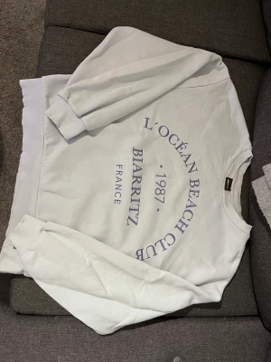 Sweatshirt  - Gina sweatshirt med broderat tryck! Har två röda prickar av evt vattenfärg, (kan evt tvättas bort). Nypris 250kr💸❄️