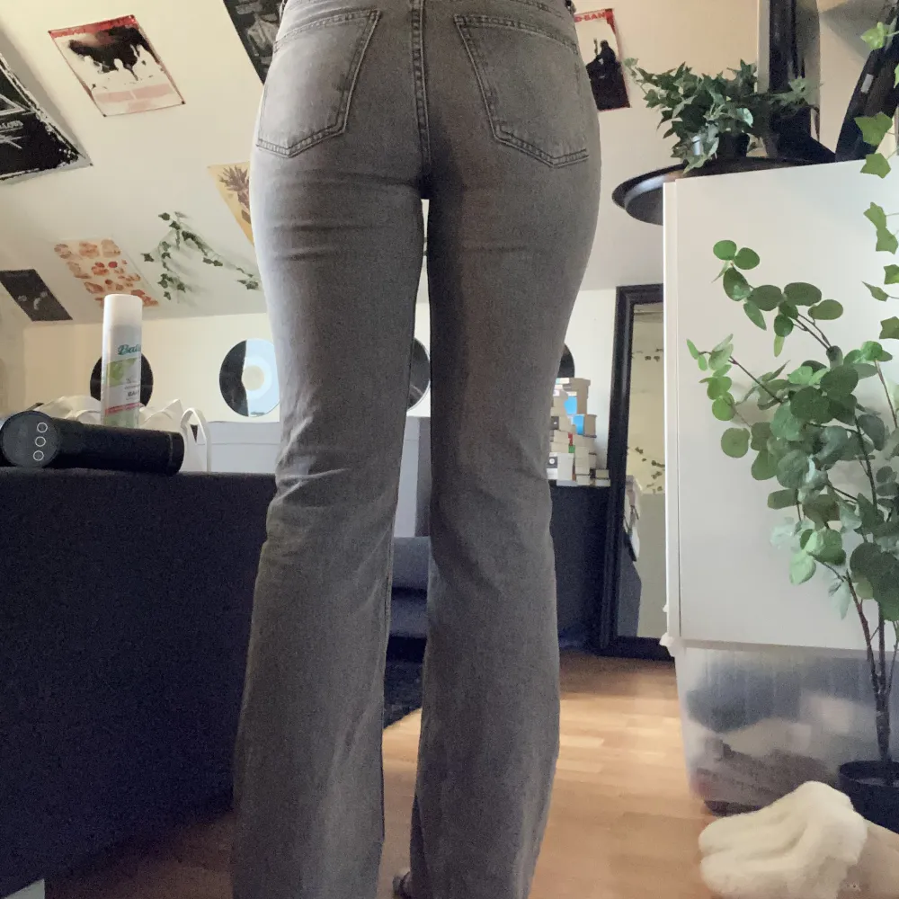 säljer dessa grå Bootcut jeans från Gina tricot!💕 säljer då jag har ett liknanade par! storlek 40 och passar S/M! de säljs inte längre men nypris 600kr<3 midja: 80cm. innerbenslängd: 79cm. läs POLICY och FRAKT innan du skriver! använd gärna köp nu🤍. Jeans & Byxor.