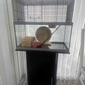 Hamsterbur, allt i bilden ingår! - Säljer min hamsterbur med ställ, allt i bilden ingår i priset. Du får med hamsterhjul, hus, matskål, vattenflaska samt toalett.  