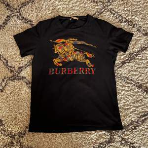 Vintage burberry t shirt, tror att det är en dam XL men passar som en herr M