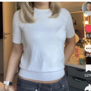 Zara tshirt - Säljer denna snygga tshirt i lite tjockare material från Zara. 