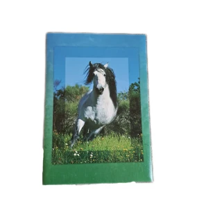 Brevpapper med hästmotiv - Brevpapper med hästmotiv. Pris är diskuterbart vid snabb affär.  💖Vid funderingar skicka gärna pm.  😊 Köparen står för frakten. 