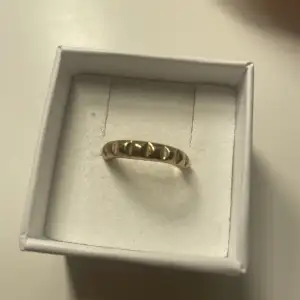 Guldpläterad ring från pilgrim