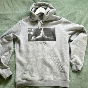 Grå hoddie - Grå hoodie Nästan oanvänd Storlek M