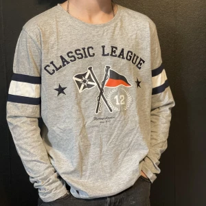 Grå tröja  - Fin tröja med tryck. Priset kan diskuteras🦧