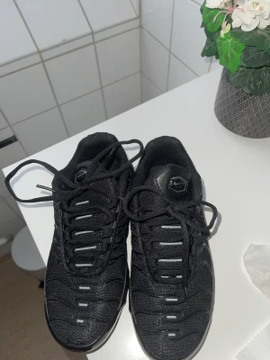Nike tn - Storlek 39 Nike tn helt nya dem var för små 