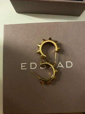 Edblad örhängen  - Jätte fina och populära örhängen ifrån Edblad i guld, använda enstaka gånger!💗