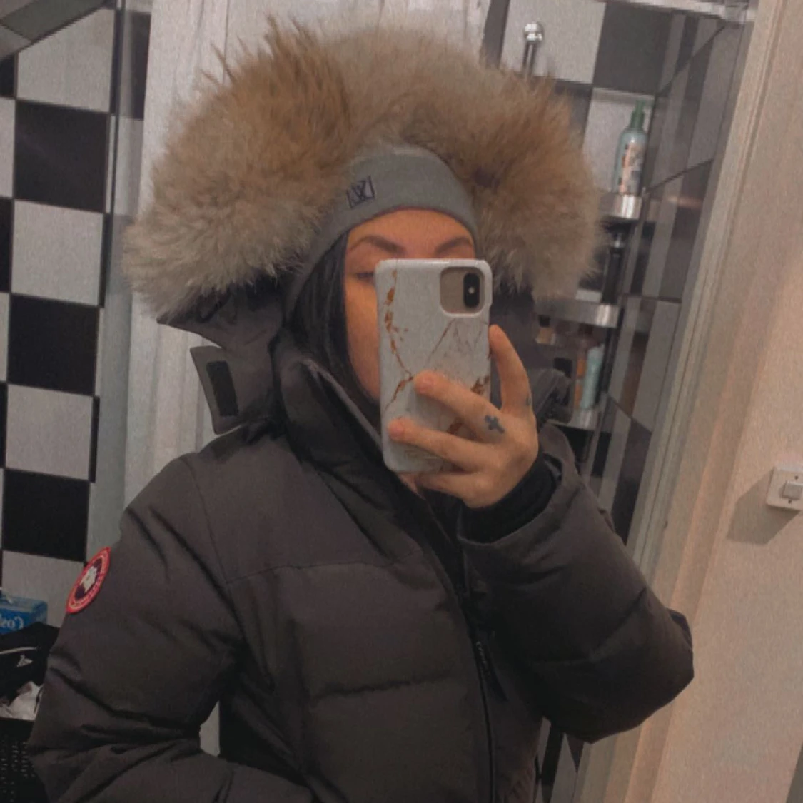 Canada goose  - 91