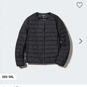 Dunjacka - Intresse koll på min tynre dunjacka från uniqlo! Använd fåtal gånger. Säljer inte under 500kr! Nypris: 799kr