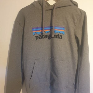 Patagonia hoodie - Säljer denna gråa patagonia hoodie i utmärkt skick på grund av att den blivit för liten. Använd ett fåtal gånger men inga hål eller märken alls. Storlek small