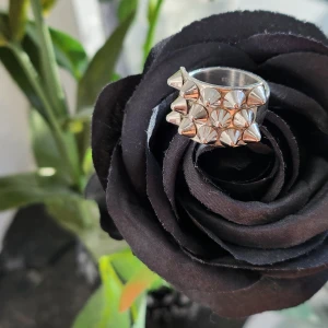 Edblad ring - Edblad peak ring, mycket fin och kul.