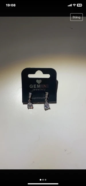 Örhängen  - Ett par glesnande örhängen som aldrig används och som köptes på en Gotlandsfärjan 